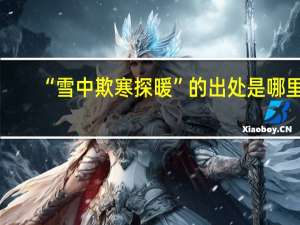 “雪中欺寒探暖”的出处是哪里
