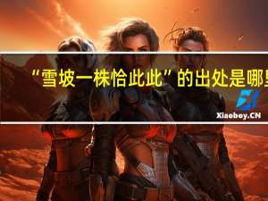 “雪坡一株恰此此”的出处是哪里