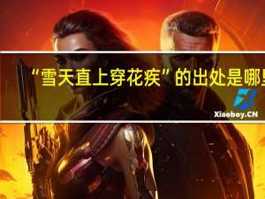 “雪天直上穿花疾”的出处是哪里