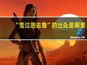 “雪泣悲去鲁”的出处是哪里