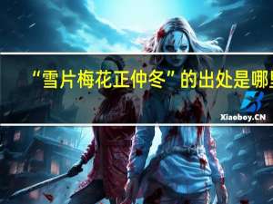 “雪片梅花正仲冬”的出处是哪里