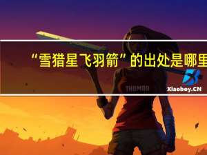 “雪猎星飞羽箭”的出处是哪里