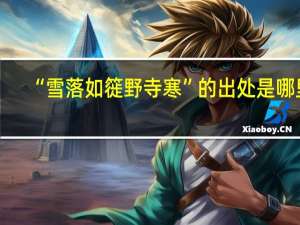 “雪落如簁野寺寒”的出处是哪里