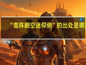 “雪阵翻空迷仰俯”的出处是哪里