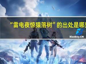“雷电夜惊猿落树”的出处是哪里