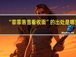 “霏霏落雪看收面”的出处是哪里