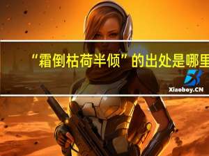 “霜倒枯荷半倾”的出处是哪里