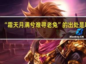 “霜天月满兮难寻老兔”的出处是哪里