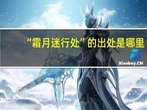 “霜月迷行处”的出处是哪里