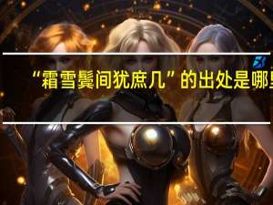 “霜雪鬓间犹庶几”的出处是哪里