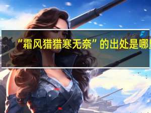 “霜风猎猎寒无奈”的出处是哪里