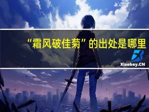 “霜风破佳菊”的出处是哪里