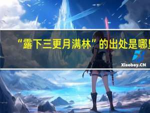 “露下三更月满林”的出处是哪里