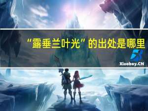 “露垂兰叶光”的出处是哪里