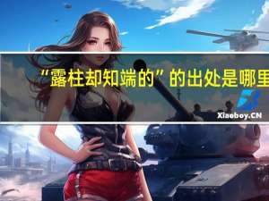 “露柱却知端的”的出处是哪里