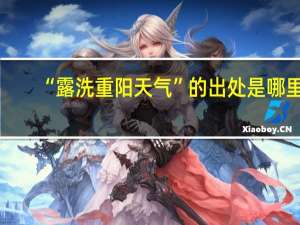 “露洗重阳天气”的出处是哪里