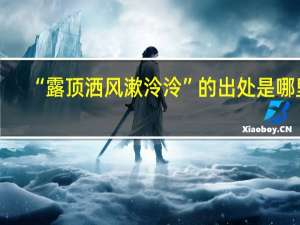 “露顶洒风漱泠泠”的出处是哪里