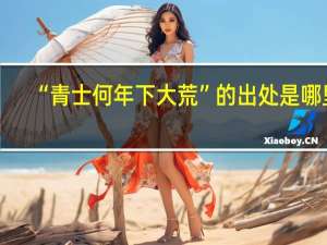 “青士何年下大荒”的出处是哪里