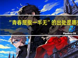 “青春屈指一半无”的出处是哪里