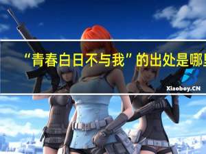 “青春白日不与我”的出处是哪里