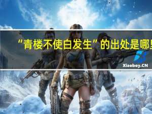 “青楼不使白发生”的出处是哪里