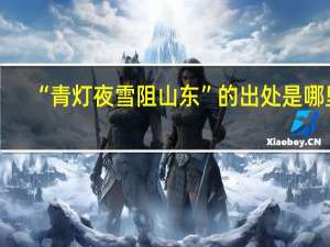 “青灯夜雪阻山东”的出处是哪里