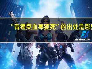 “青狸哭血寒狐死”的出处是哪里