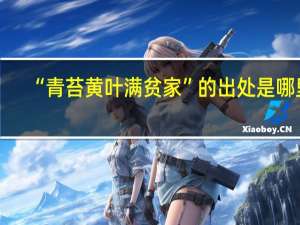 “青苔黄叶满贫家”的出处是哪里