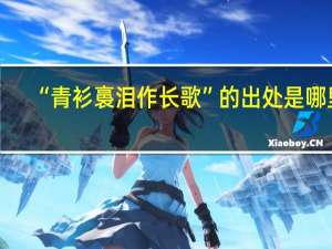 “青衫裛泪作长歌”的出处是哪里