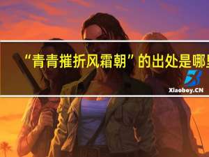 “青青摧折风霜朝”的出处是哪里