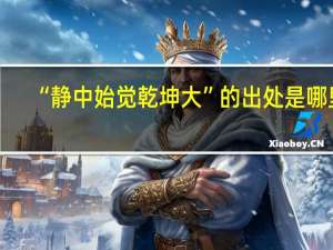 “静中始觉乾坤大”的出处是哪里