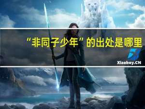 “非同子少年”的出处是哪里