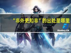 “非外更知非”的出处是哪里