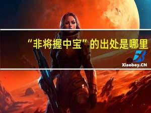 “非将握中宝”的出处是哪里