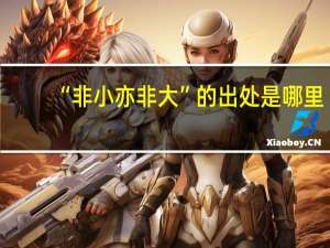 “非小亦非大”的出处是哪里
