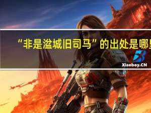 “非是湓城旧司马”的出处是哪里
