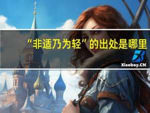 “非适乃为轻”的出处是哪里