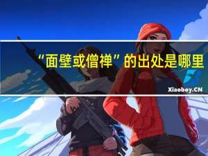 “面壁或僧禅”的出处是哪里