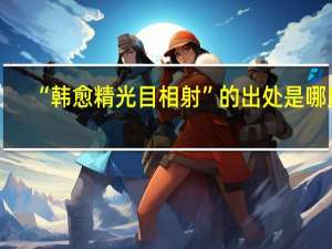 “韩愈精光目相射”的出处是哪里