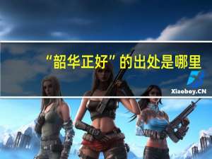 “韶华正好”的出处是哪里