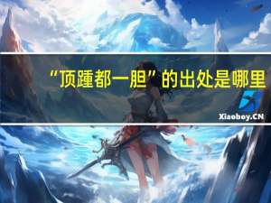 “顶踵都一胆”的出处是哪里