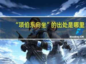 “项伯东向坐”的出处是哪里