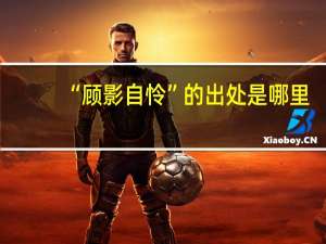 “顾影自怜”的出处是哪里