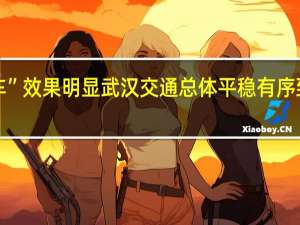 “预约停车”效果明显武汉交通总体平稳有序 到底什么情况嘞