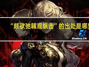 “颇欲弛韛观纵击”的出处是哪里