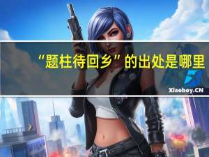“题柱待回乡”的出处是哪里