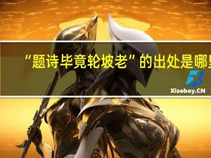 “题诗毕竟轮坡老”的出处是哪里