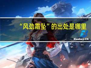 “风劲霜坠”的出处是哪里