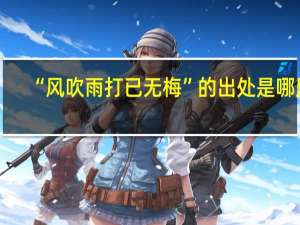 “风吹雨打已无梅”的出处是哪里