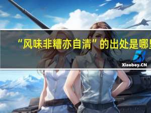 “风味非糟亦自清”的出处是哪里